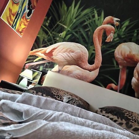 Flamingos Apartman & Fitness Centar Osijek - Blizina Bolnice Kbc 奥西耶克 外观 照片