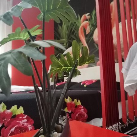 Flamingos Apartman & Fitness Centar Osijek - Blizina Bolnice Kbc 奥西耶克 外观 照片