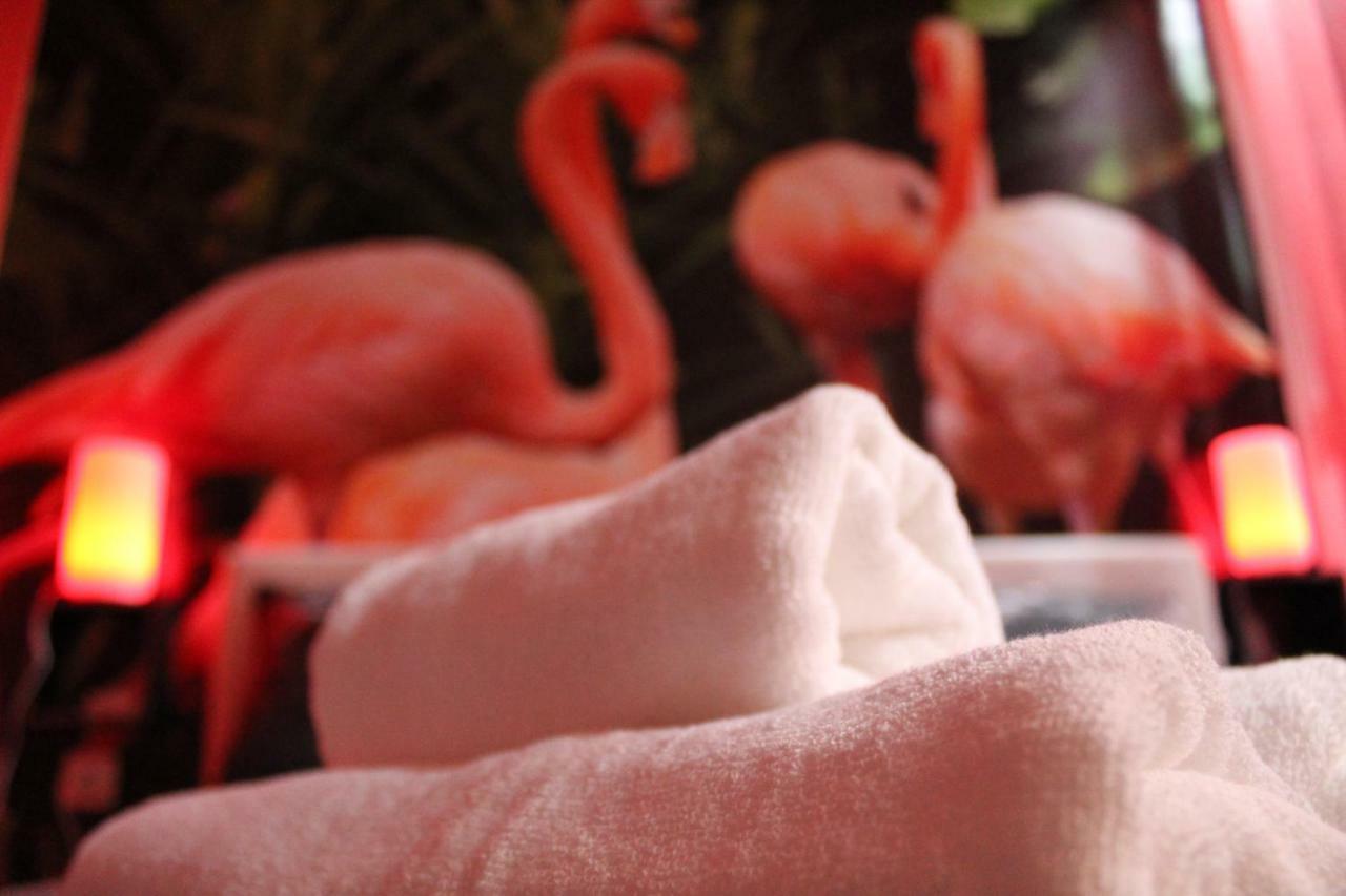 Flamingos Apartman & Fitness Centar Osijek - Blizina Bolnice Kbc 奥西耶克 外观 照片