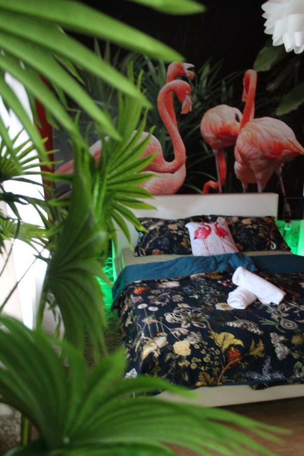 Flamingos Apartman & Fitness Centar Osijek - Blizina Bolnice Kbc 奥西耶克 外观 照片